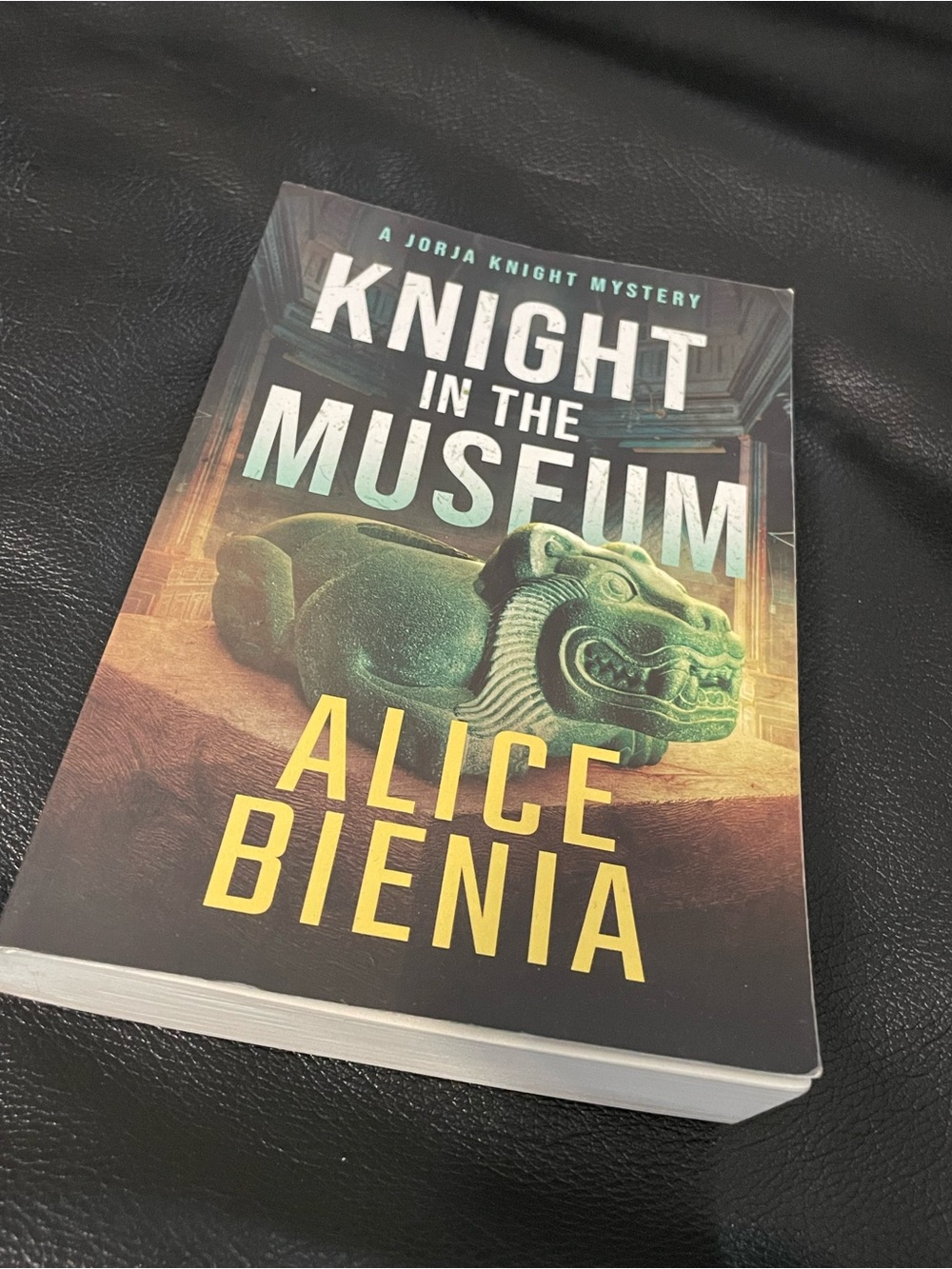 Knight in the Museum by Alice Bienia - Mystery Paperback